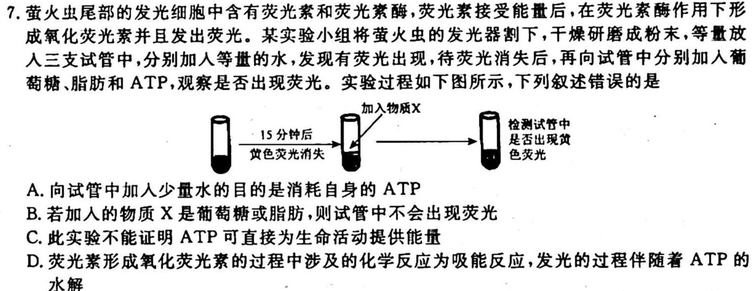 贵阳第一中学2024届高考适应性月考卷(一)生物