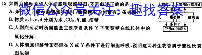 山西省2023年高二年级上学期9月联考生物试卷答案