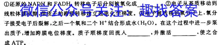 安徽省2023-2024学年度第一学期高二9月考试(4044B)生物试卷答案