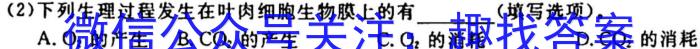 九师联盟·2023~2024学年高三核心模拟卷(上)(一)新高考S生物