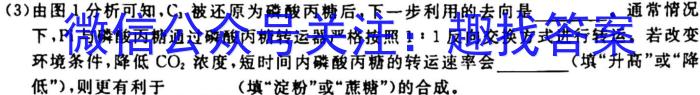 山西省吕梁市2024届九年级上学期月考生物