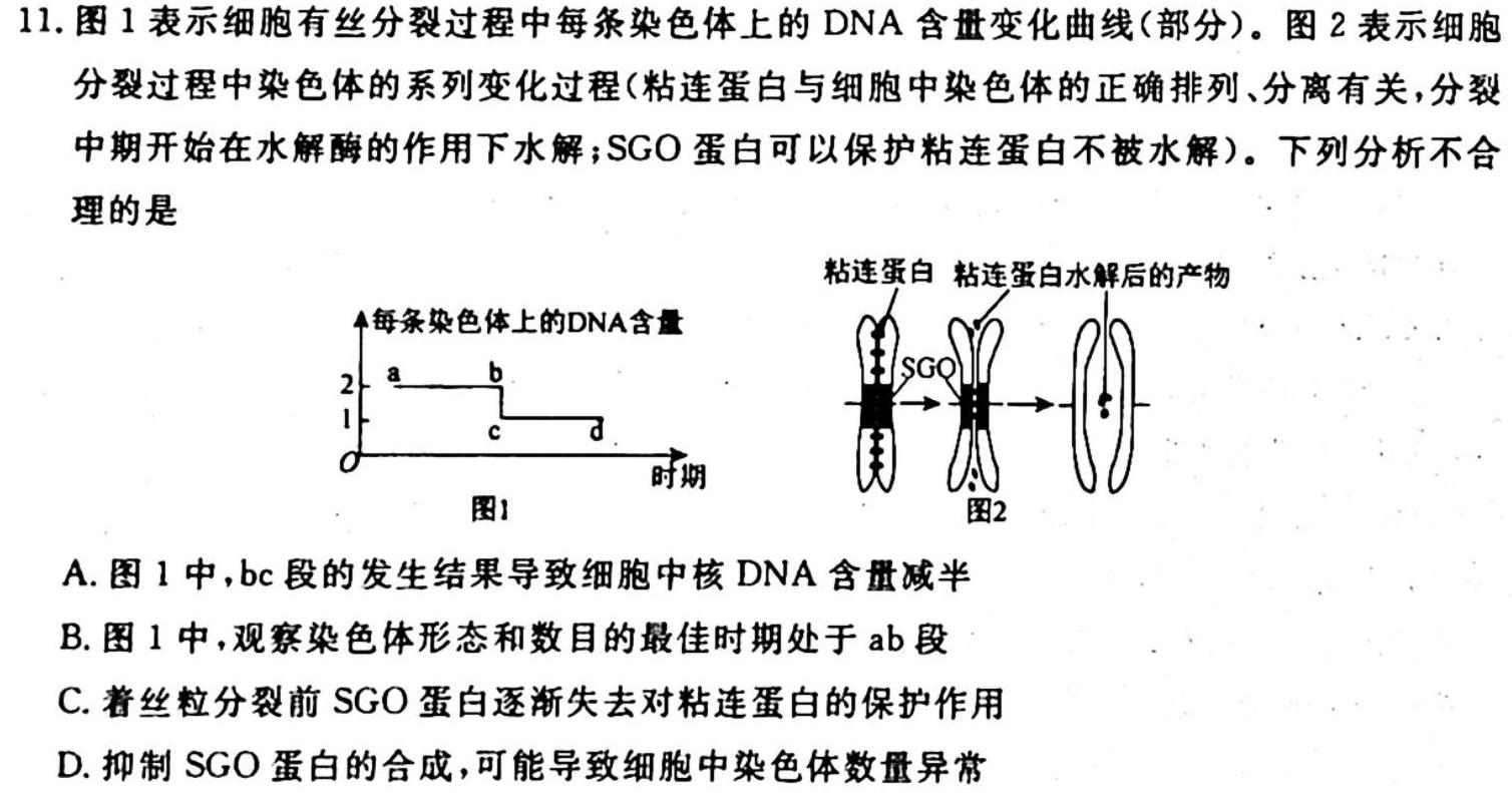 常州市联盟学校2023-2024学年度高三年级第一学期学情调研生物