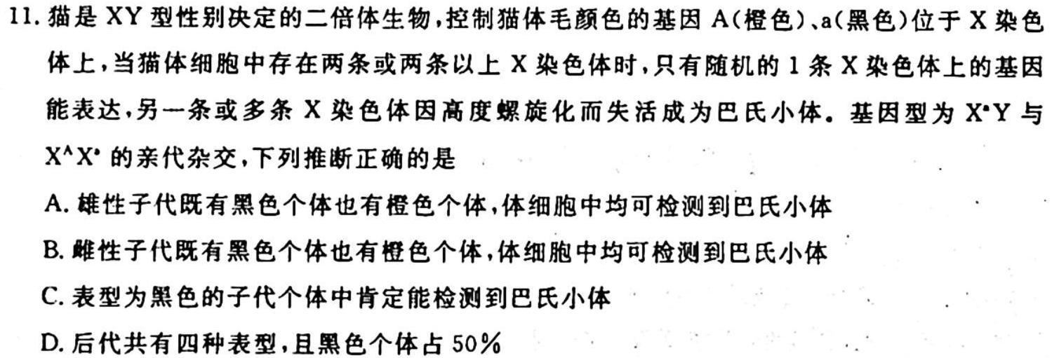 广西省2024届高三三新学术联盟10月联考生物