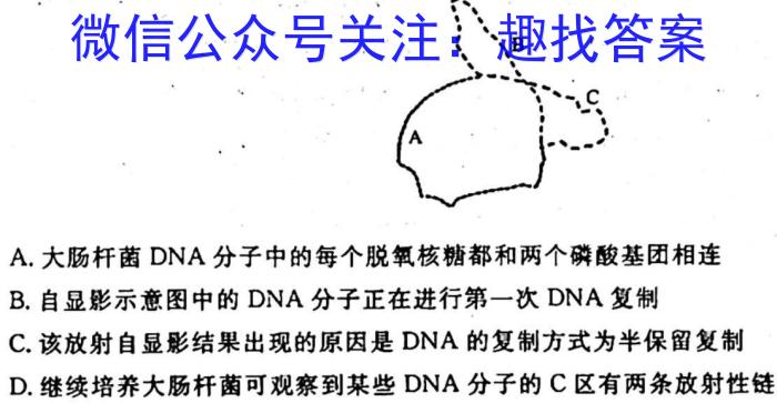 2024届江苏省苏南名校高三上学期9月抽检调研生物试卷答案
