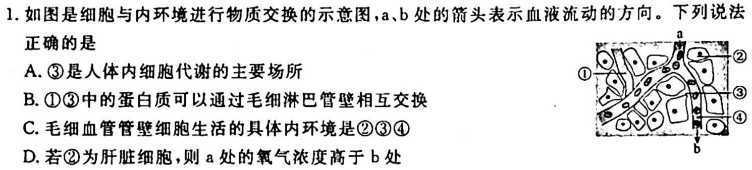 2024届河南省高三阶段性考试(24-68C)生物学试题答案