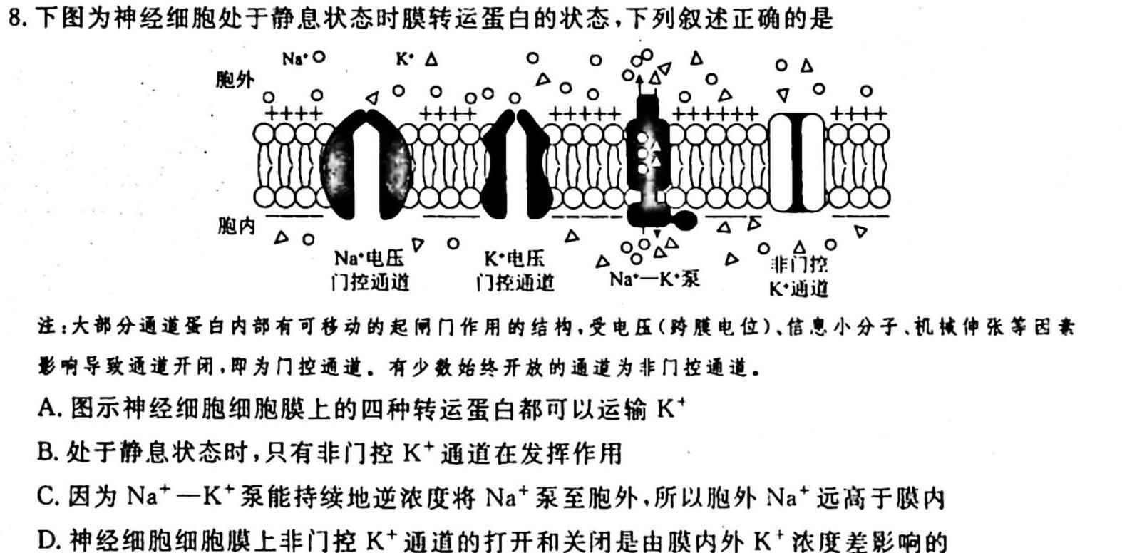 衡水名师卷 2023-2024学年度高三分科检测提分卷(四)生物