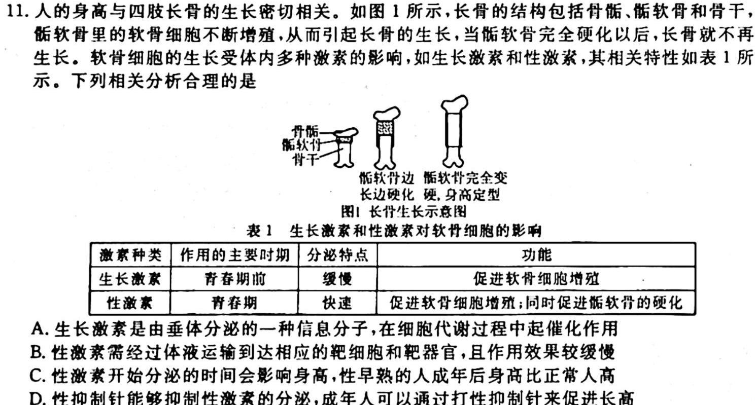 桂柳文化 2024届高考桂柳鸿图模拟金卷(一)生物