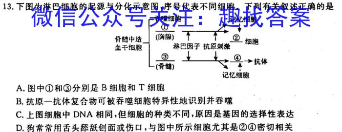 江西省八年级2023-2024学年新课标闯关卷（十二）JX生物试卷答案