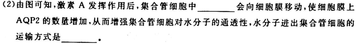 百师联盟2024届高三一轮复习联考(一)生物