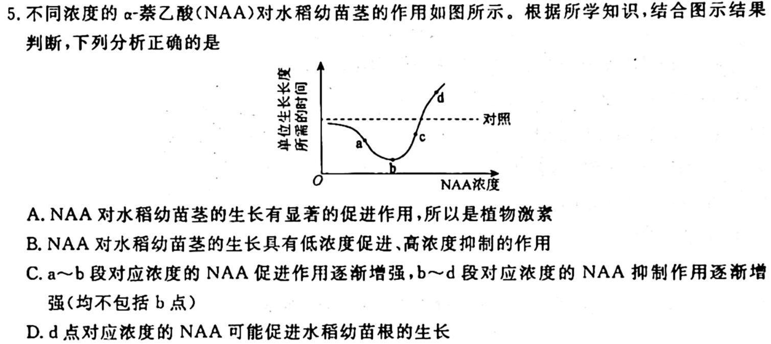 天一大联考·河南省2024届高三阶段性（二）生物学试题答案