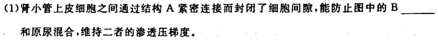 广东省2023-2024学年普通高中高三学科综合素养评价9月南粤名校联考生物学试题答案