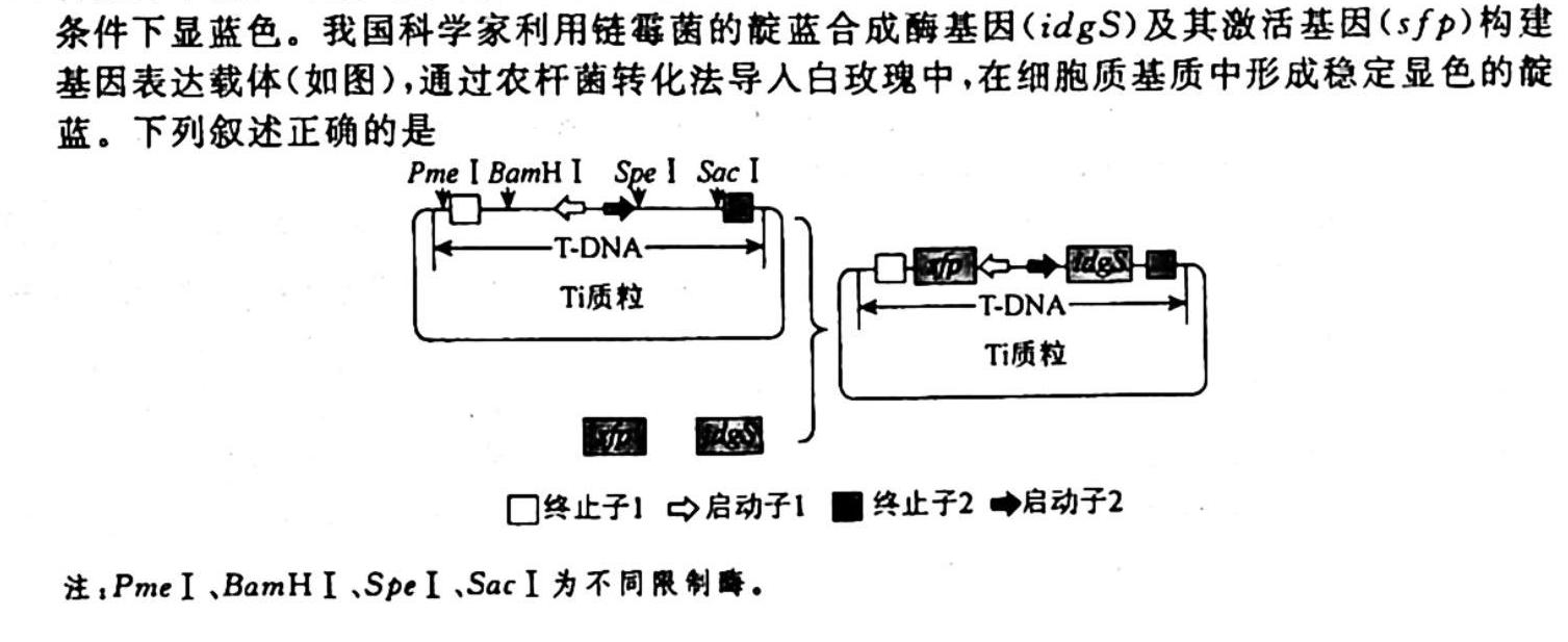 ［广西大联考］广西省2024届高三年级9月联考生物