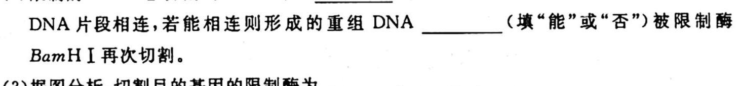 河南省普高联考2023-2024学年高三测试(二)生物