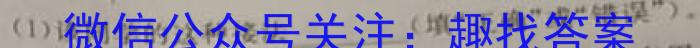 湖南省2023-2024学年度高三一轮复习摸底测试卷（一）z物理