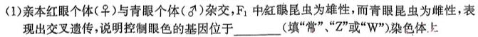 2024届广东省高三试卷9月联考(24-34C)生物学试题答案