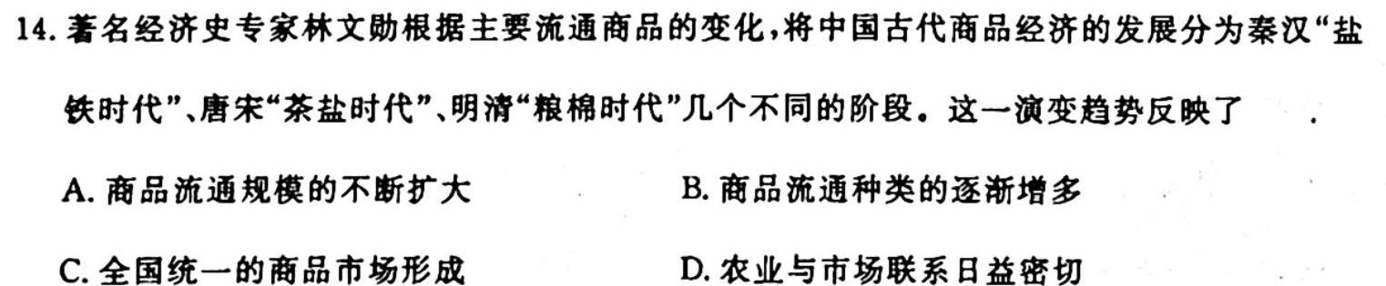 安徽省合肥市2024届九年级第一学期10月份阶段练习历史