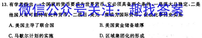 安徽省2023-2024学年高二年级名校阶段检测联考（24004B）历史
