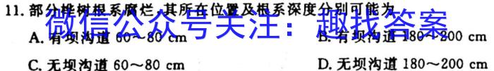 2024年湖北省新高考信息卷(三)3地理试卷答案