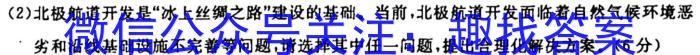 Ƹ԰ģ 2024ģԾ(һ).