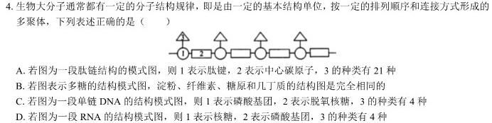 ［九校联考］甘肃省2024届高三10月联考生物