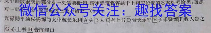 安徽省2023-2024学年度第一学期九年级作业辅导练习（二）语文