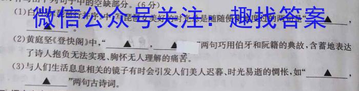 河北省高碑店市2023-2024学年度第一学期第一次阶段性教学质量监测（初三）语文