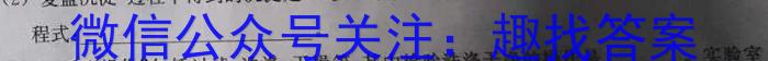 3安徽省2023-2024学年度第一学期九年级作业辅导练习（二）化学