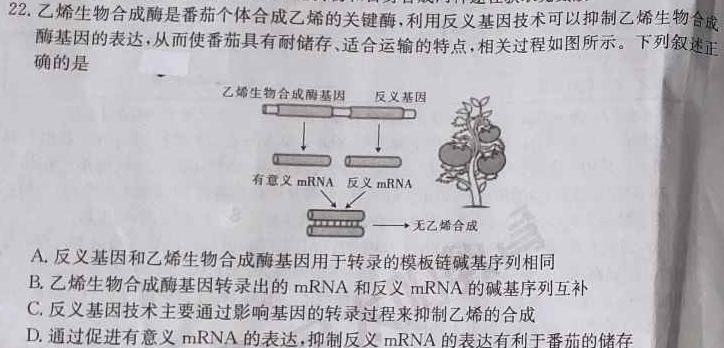 陕西省2024届高三10月联考（14-15号）生物