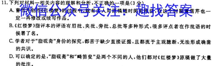 安徽省2023~2024学年度九年级阶段质量检测(R-PGZX D AH ☆)/语文