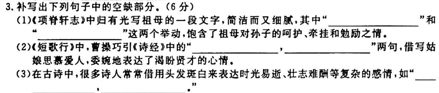 2024高考名校导航金卷(三)语文试卷 答案