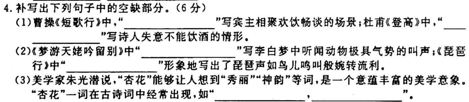 河南省九年级2023-2024学年度综合素养评估（二）【R-PGZX C HEN】语文试卷答案