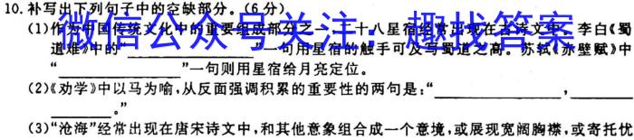 安徽省2023-2024学年度九年级测试卷一（10.7）语文