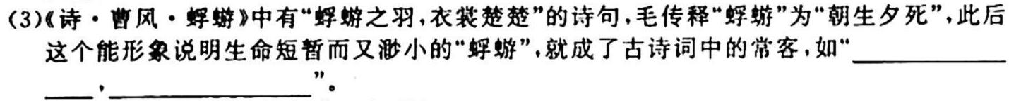 河南省2023-2024学年上学期高二年级期中联考试题（11月）语文试卷 答案