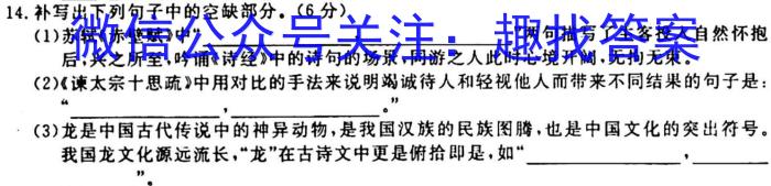 陕西省2023年秋季学期高一期中考试（241224Z）语文