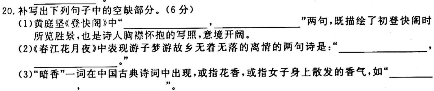 河北省沧州市2023-2024学年八年级第一学期教学质量检测一（10.10）语文