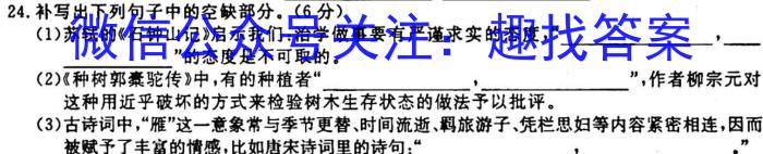 河北省2023-2024学年示范性高中高二年级期中质量检测联合测评语文