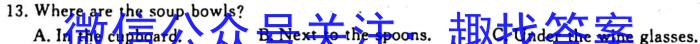 陕西省2024届九年级教学质量检测（10.7）英语
