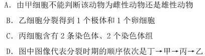 陕西省2023-2024学年度九年级第一学期第一次月考C生物