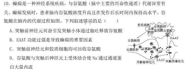 山西省2023-2024学年度第一学期初一素养形成期中测试生物学试题答案