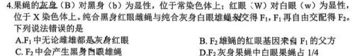 广西省2023年秋季学期高二年级八校第一次联考生物试卷答案
