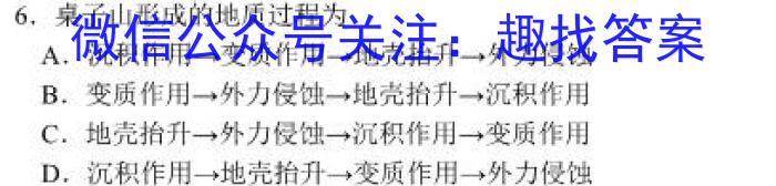 2024年山东省高二阶段性诊断测试(24-491B)地理试卷答案