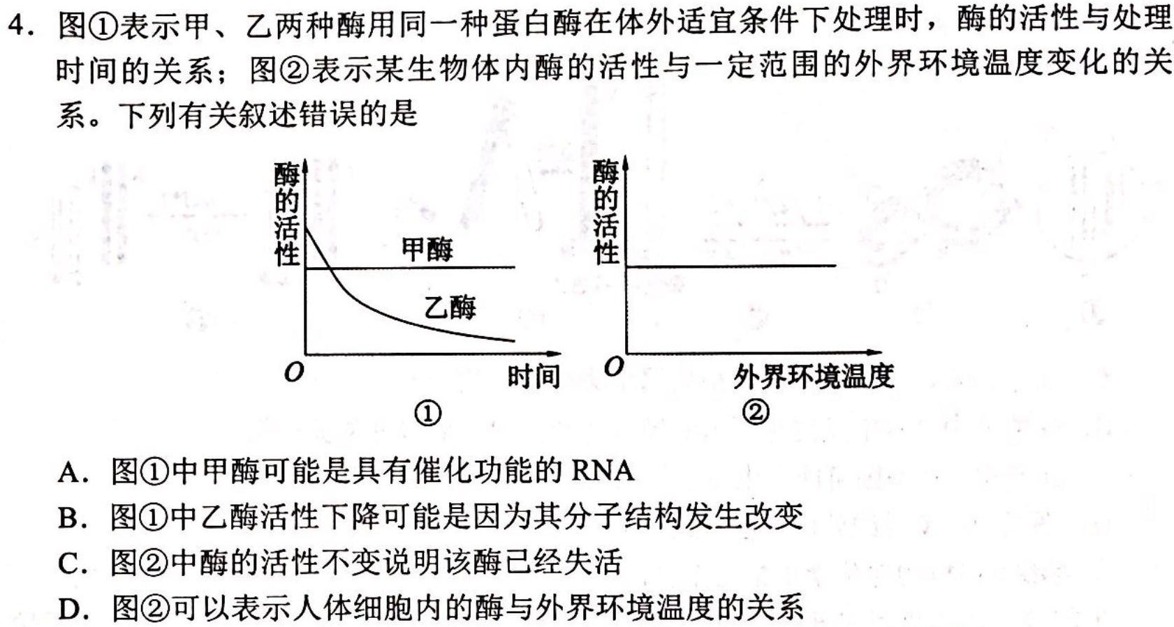 安徽省2023-2024学年度第一学期九年级学情调研（二）生物学试题答案