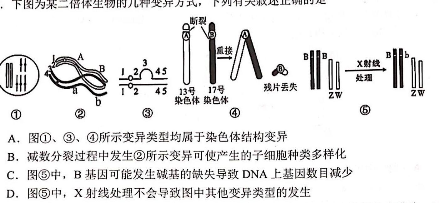 2023~2024学年核心突破XGK(二十四)24生物学试题答案