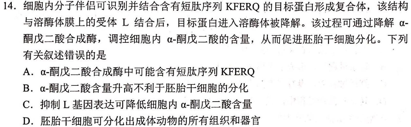 ［广东大联考］广东省2023年高二年级上学期10月联考生物学试题答案