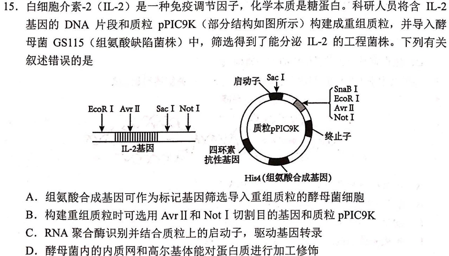 大庆一模 黑龙江大庆市2024届高三年级第一次教学质量检测(24-HLJ01C)生物