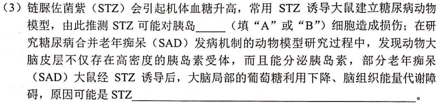 安徽省2023-2024学年八年级上学期10月调研考试生物学试题答案