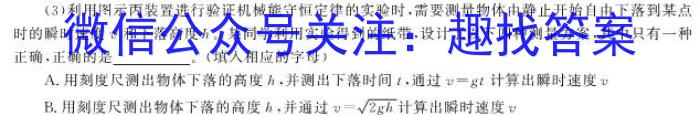 湖北云学新高考联盟高二年级10月联考q物理