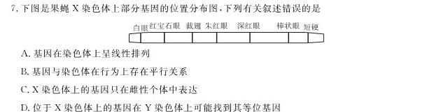 陕西省2023-2024学年度第一学期九年级期中调研（Y）生物学试题答案