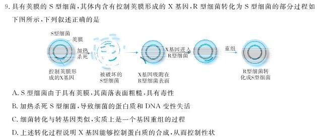 淮安市2023-2024学年度第一学期高一年级调研测试（11月）生物