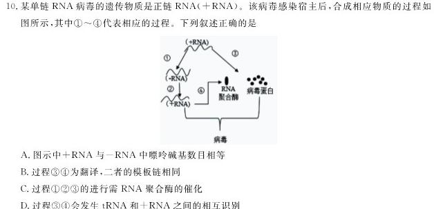 永寿县中学2023-2024学年度高三年级第二次考试(24140C)生物